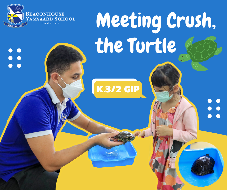 K.32-GIP-Meeting-Crush-the-Turtle.png