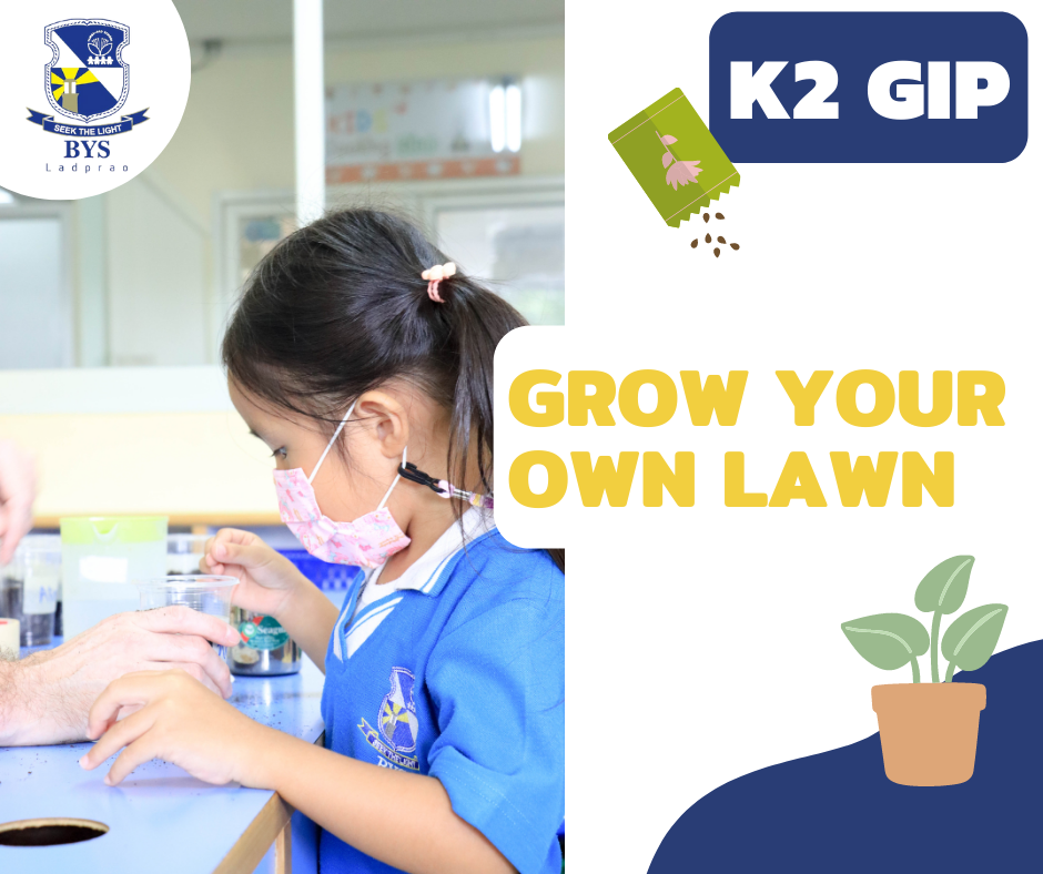 K2-GIP-Grow-Your-Own-Lawn.png