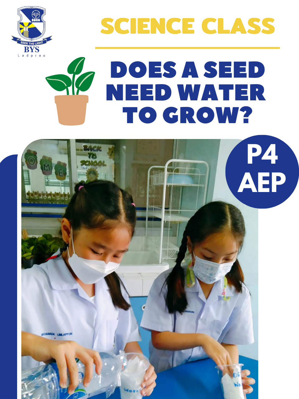 P4-AEP-Does-a-seed-need-water-to-grow-.png